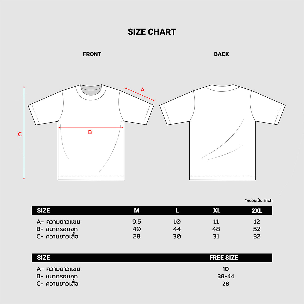 เสื้อ Daily Premium