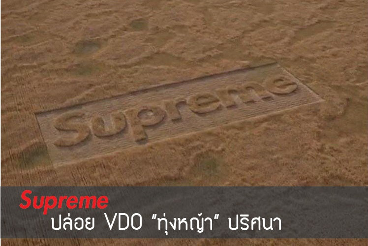 Supreme ปล่อย VDO “ทุ่งหญ้า” ปริศนา !!
